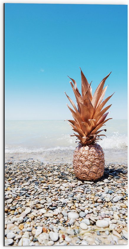 Dibond - Ananas op Kiezelstenen - 50x100 cm Foto op Aluminium (Met Ophangsysteem)