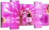 GroepArt - Schilderij - Bloem - Roze, Wit - 120x65 5Luik - Foto Op Canvas - GroepArt 6000+ Schilderijen 0p Canvas Art Collectie - Wanddecoratie
