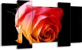 Peinture sur toile Rose | Orange, rouge, noir | 120x65 5 Liège