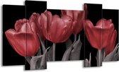 GroepArt - Schilderij - Tulp - Rood, Grijs, Zwart - 120x65 5Luik - Foto Op Canvas - GroepArt 6000+ Schilderijen 0p Canvas Art Collectie - Wanddecoratie
