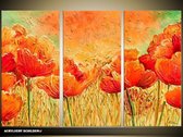 Schilderij -  Bloemen - Klaproos - Oranje, Bruin - 120x80cm 3Luik - GroepArt - Handgeschilderd Schilderij - Canvas Schilderij - Wanddecoratie - Woonkamer - Slaapkamer - Geschilderd Door Onze Kunstenaars 2000+Collectie Maatwerk Mogelijk