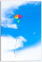 Dibond - Foto van Kleurrijke Vlieger onder Schapenwolken - 70x105 cm Foto op Aluminium (Wanddecoratie van metaal)