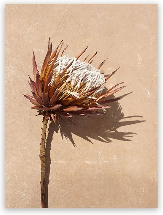 Aluminium Schilderij Dried Exotic Flower