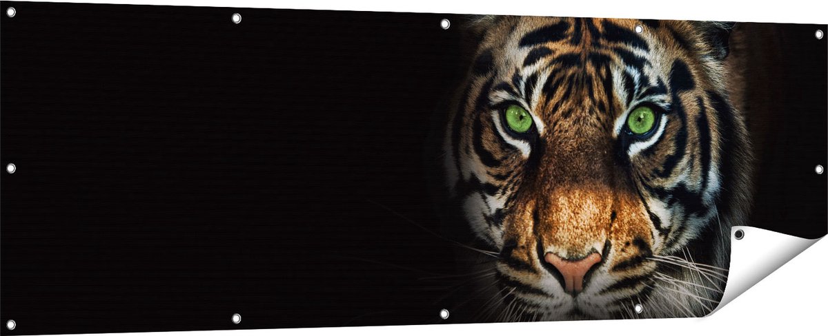 Gards Tuinposter Tijgerkop met Groene Ogen - Tijger - 180x60 cm - Tuindoek - Tuindecoratie - Wanddecoratie buiten - Tuinschilderij Multikleur