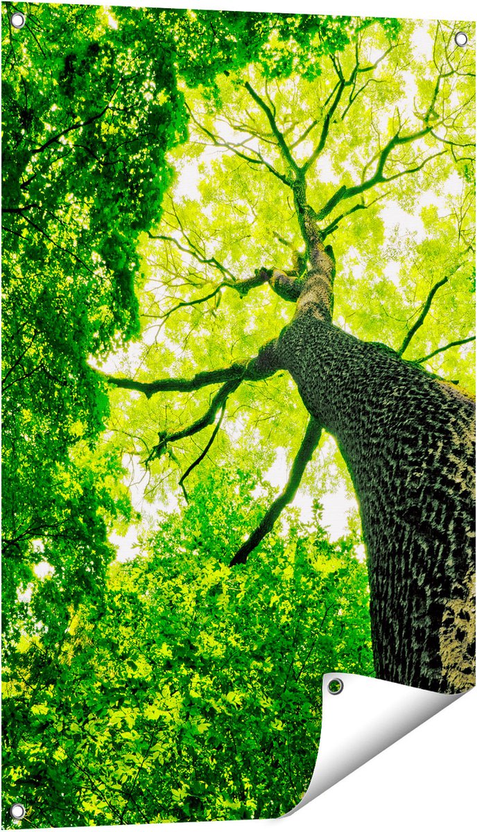 Gards Tuinposter Boom in het Bos met Fel Groene Bladeren - 60x90 cm - Tuindoek - Tuindecoratie - Wanddecoratie buiten - Tuinschilderij Multikleur