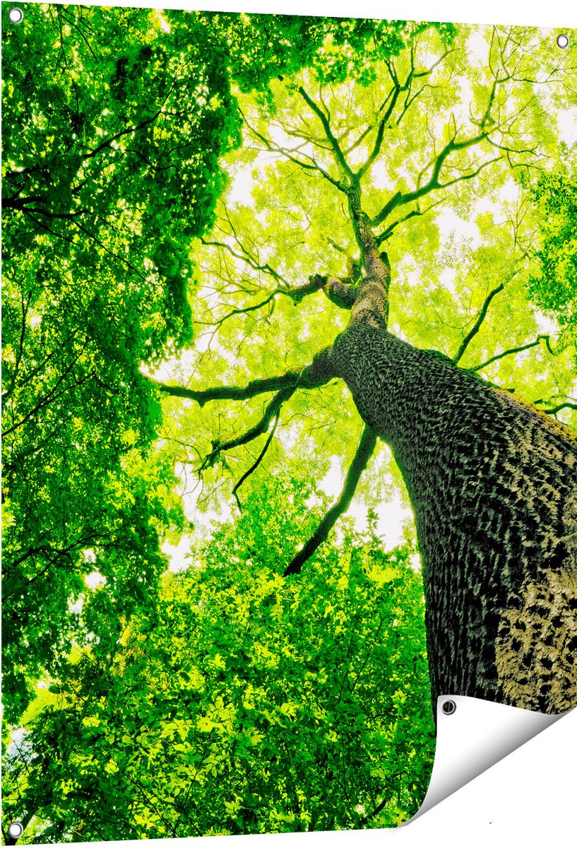 Gards Tuinposter Boom in het Bos met Fel Groene Bladeren - 80x100 cm - Tuindoek - Tuindecoratie - Wanddecoratie buiten - Tuinschilderij Multikleur