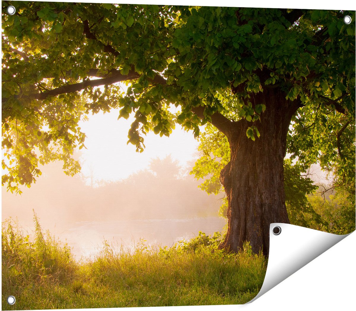 Gards Tuinposter Eikenboom aan het Water met Volle Bladeren - 80x60 cm - Tuindoek - Tuindecoratie - Wanddecoratie buiten - Tuinschilderij Multikleur
