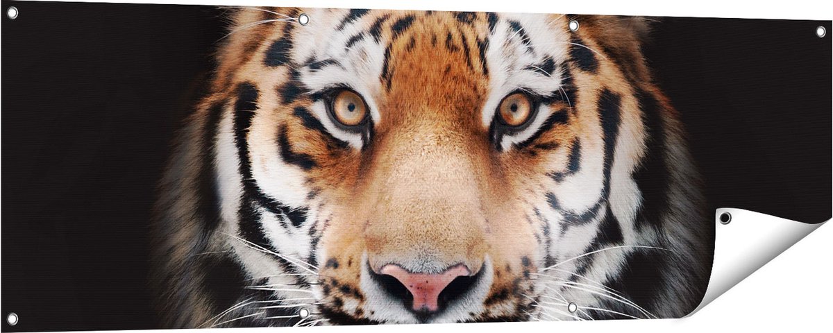 Gards Tuinposter Tijgerkop - Tijger - 150x50 cm - Tuindoek - Tuindecoratie - Wanddecoratie buiten - Tuinschilderij Multikleur