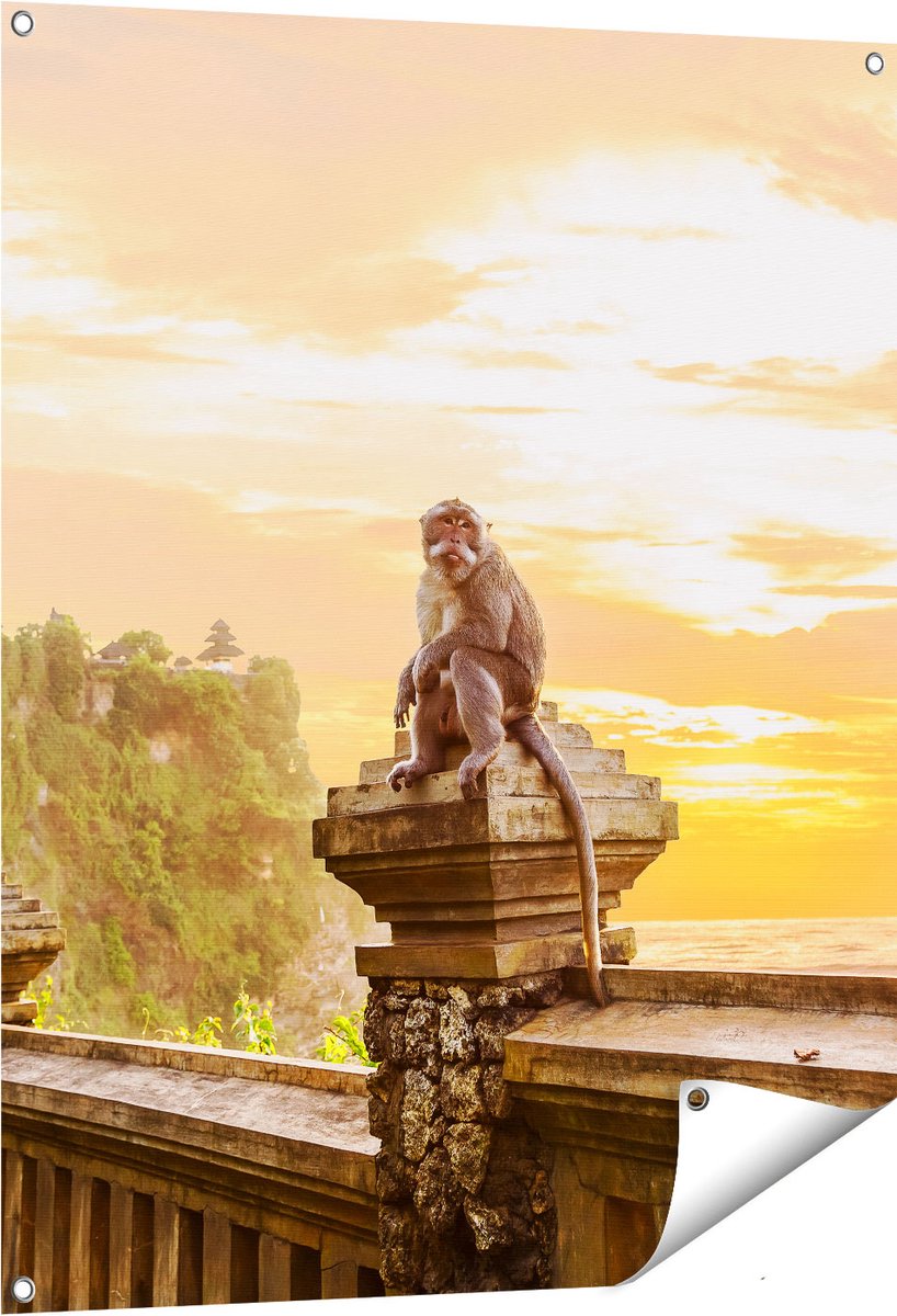 Gards Tuinposter Aap op de Uluwatu Tempel in Bali - 80x100 cm - Tuindoek - Tuindecoratie - Wanddecoratie buiten - Tuinschilderij Multikleur
