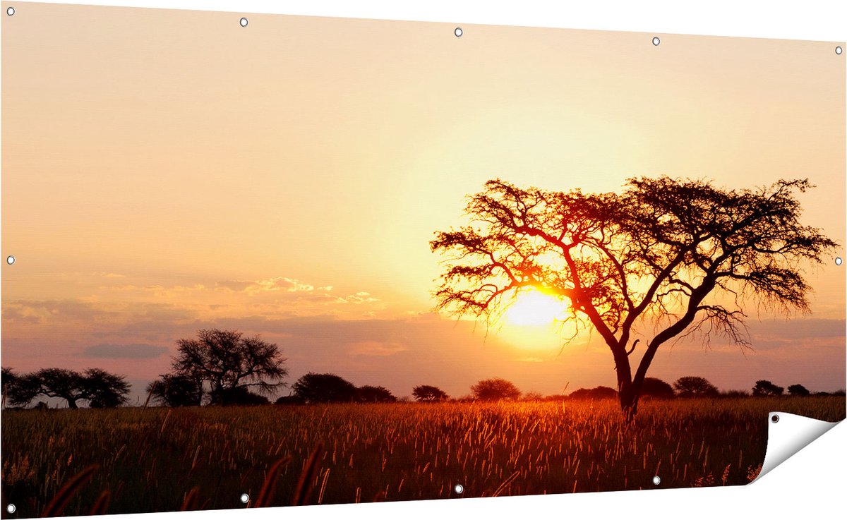 Gards Tuinposter Zonsondergang Achter een Acacia Boom - 200x100 cm - Tuindoek - Tuindecoratie - Wanddecoratie buiten - Tuinschilderij Multikleur