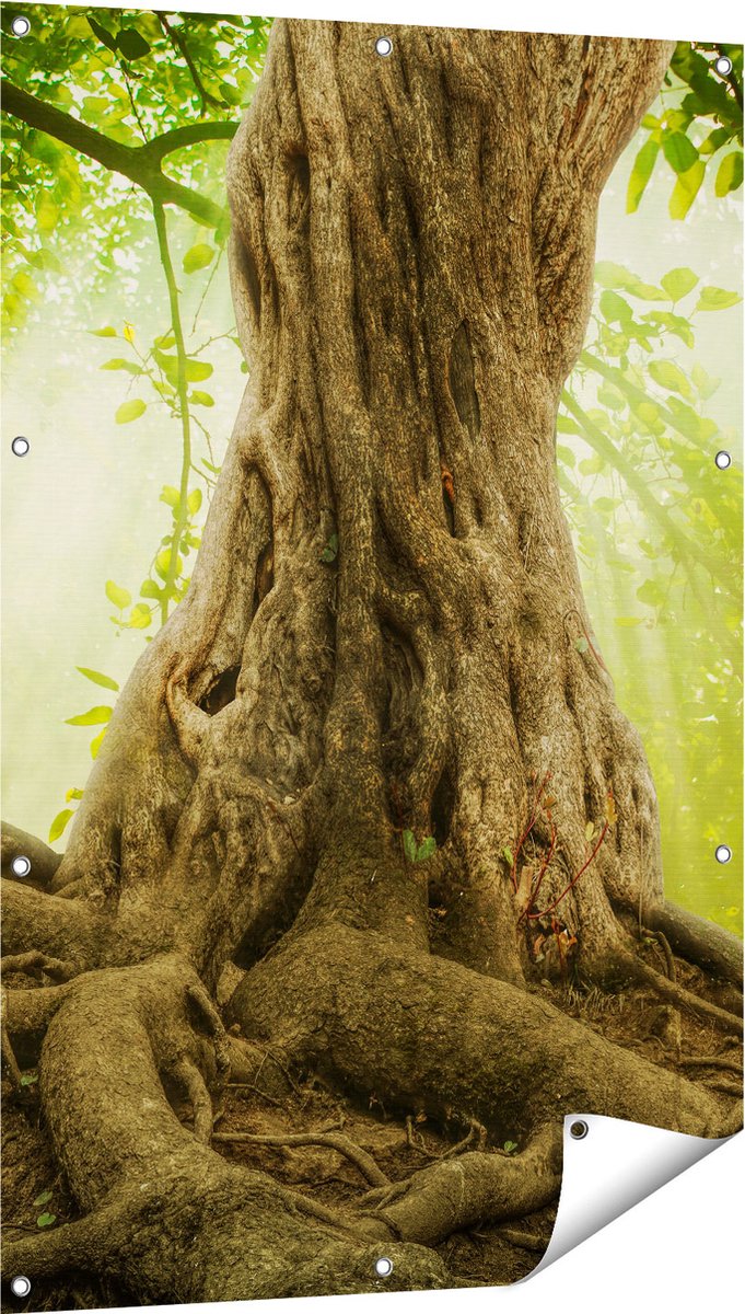 Gards Tuinposter Grote Boom in het Bos met Wortels - 80x120 cm - Tuindoek - Tuindecoratie - Wanddecoratie buiten - Tuinschilderij Multikleur