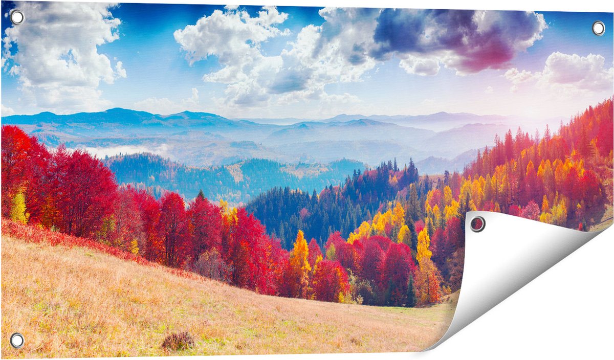 Gards Tuinposter Kleurrijke Herfstbos met Heuvellandschap - 80x40 cm - Tuindoek - Tuindecoratie - Wanddecoratie buiten - Tuinschilderij Multikleur