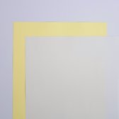 blanco doorschrijf laserpapier - 100 sets in 2 voud