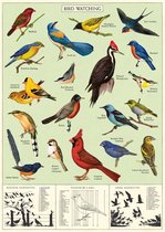 Poster - Study of Birds / Bird Watching - Cavallini & Co - Vintage schoolplaat Vogels
