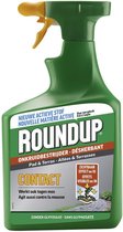 Roundup Contact P&T 1L