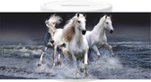 Spaarpot - Witte paarden in Branding