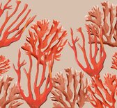 Behang staal Coastal Coral rood