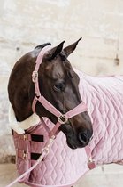 Kentucky Horsewear de spectacle velours rose 205