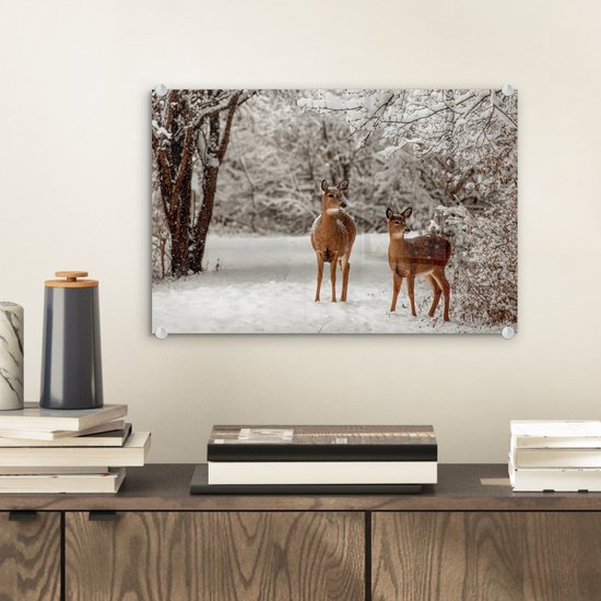 Cerf dans la neige en Glas 30x20 cm - Tirage photo sur Glas (décoration murale en plexiglas)