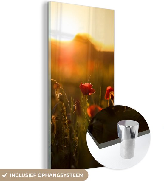 MuchoWow® Glasschilderij 20x40 cm - Schilderij acrylglas - Klaproos - Zonsondergang - Goud - Foto op glas - Schilderijen