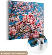 MuchoWow® Glasschilderij 90x90 cm - Schilderij acrylglas - Lente - Sakura - Roze - Foto op glas - Schilderijen