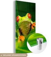 MuchoWow® Peinture sur verre 20x40 cm - Peinture sur verre acrylique - Grenouille - Feuilles - Photo sur verre - Peintures
