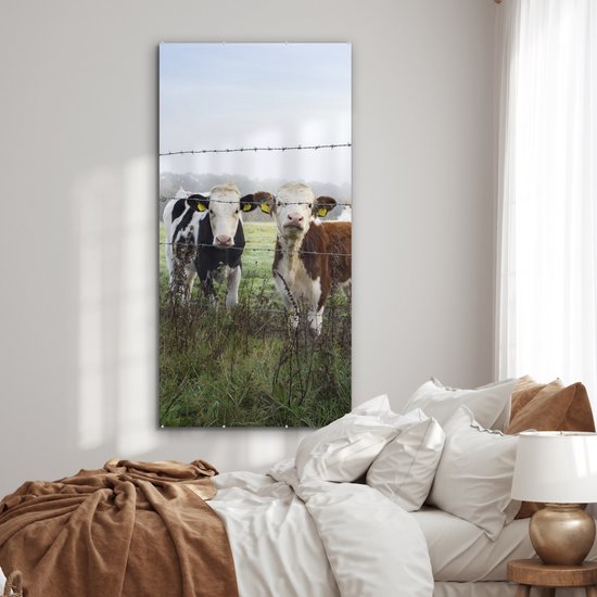 ® Glasschilderij 80x160 cm - Schilderij acrylglas - Koe - Prikkeldraad - Gras - Dieren - Foto op glas - Muurdecoratie woonkamer - Wanddecoratie slaapkamer - Schilderijen