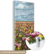 MuchoWow® Glasschilderij 40x80 cm - Schilderij acrylglas - Tulpen - Kleuren - Wolken - Foto op glas - Schilderijen