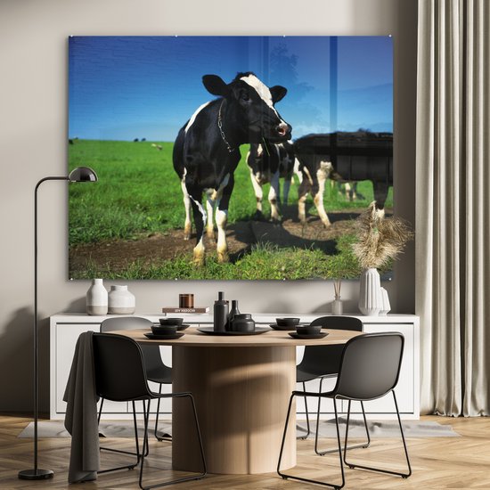 Vaches frisonnes au pâturage avec un ciel bleu Plexiglas 160x120 cm - Tirage photo sur Glas (décoration murale plexiglas) XXL / Groot format!