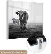 MuchoWow® Glasschilderij 90x90 cm - Schilderij acrylglas - Koeien in de ochtendmist zwart-wit foto - Foto op glas - Schilderijen