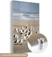 MuchoWow® Glasschilderij 20x30 cm - Schilderij acrylglas - Een groep grote mantelmeeuwen op het strand bij zee - Foto op glas - Schilderijen