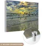MuchoWow® Glasschilderij 160x120 cm - Schilderij acrylglas - Strand - Vogels - Zon - Foto op glas - Schilderijen