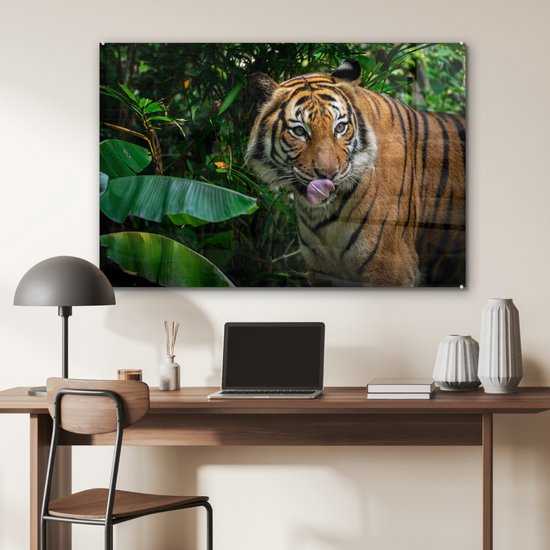 Peinture sur verre - Animaux - Tropical - Tigre - 90x60 cm - Peintures Plexiglas