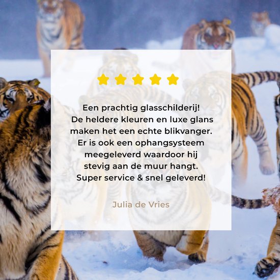 Peintures sur verre - Tigre - Neige - Animaux sauvages - Hiver - 150x100 cm - Peintures Plexiglas