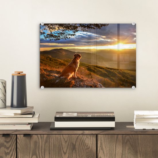 Un Golden Retriever regardant le coucher du soleil Plexiglas 30x20 cm - petit - Tirage photo sur Glas (décoration murale en plexiglas)