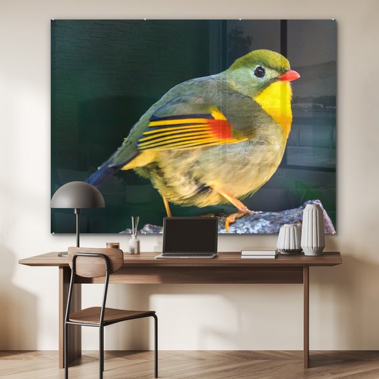 Gros plan d'un rossignol japonais en plexiglas 160x120 cm - Tirage photo sur Glas (décoration murale en plexiglas) XXL / Groot format!