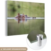 MuchoWow® Glasschilderij 30x20 cm - Schilderij acrylglas - Nijlpaard - Kop - Water - Foto op glas - Schilderijen