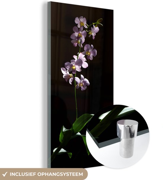 MuchoWow® Glasschilderij 60x120 cm - Schilderij acrylglas - Orchidee - Bloem - Roze - Foto op glas - Schilderijen