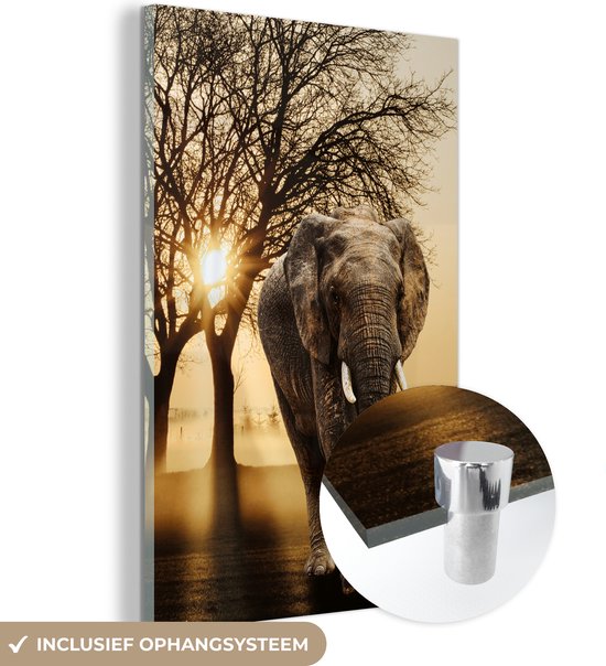 MuchoWow® Glasschilderij 40x60 cm - Schilderij acrylglas - Olifant - Boom - Zon - Foto op glas - Schilderijen