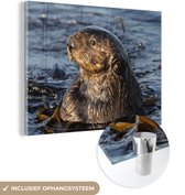 MuchoWow® Glasschilderij 160x120 cm - Schilderij acrylglas - Dieren - Otter - Water - Foto op glas - Schilderijen