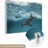 MuchoWow® Glasschilderij 180x120 cm - Schilderij acrylglas - Dolfijn - Water - Zee - Foto op glas - Schilderijen