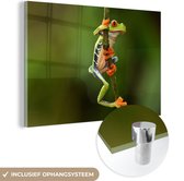 MuchoWow® Glasschilderij 150x100 cm - Schilderij acrylglas - Roodoogmakikikker in de jungle - Foto op glas - Schilderijen