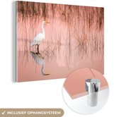 MuchoWow® Glasschilderij 30x20 cm - Schilderij acrylglas - Zilverreiger bij het moerasriet - Foto op glas - Schilderijen