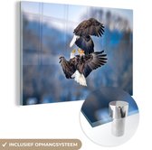 MuchoWow® Glasschilderij 180x120 cm - Schilderij acrylglas - Adelaar - Vogel - Lucht - Foto op glas - Schilderijen