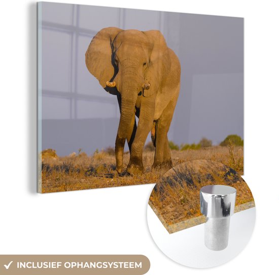 MuchoWow® Glasschilderij 150x100 cm - Schilderij acrylglas - Afrikaanse olifant in het zand - Foto op glas - Schilderijen