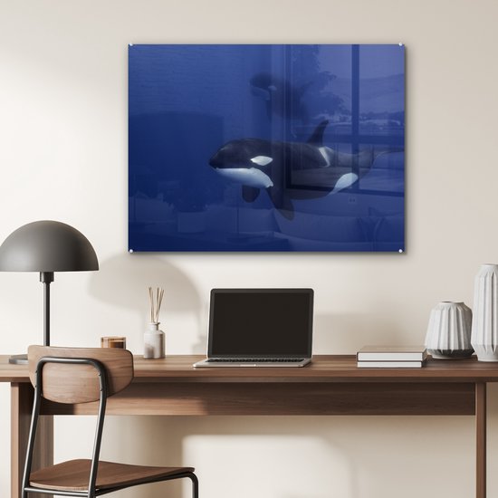 Peinture sur verre - Deux orques dans l'eau claire - 80x60 cm - Peintures acryliques - Photo sur Glas