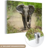 MuchoWow® Glasschilderij 150x100 cm - Schilderij acrylglas - Rennende olifant - Foto op glas - Schilderijen