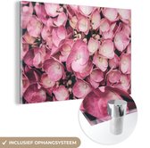 Peinture sur Verre - Gros Plan Hortensias Roses - 120x80 cm - Peintures sur Verre Peintures - Photo sur Glas