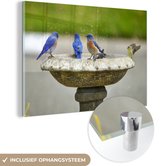 MuchoWow® Glasschilderij 60x40 cm - Schilderij acrylglas - Vogel - Vogelbad - Water - Foto op glas - Schilderijen