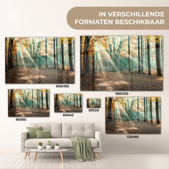 MuchoWow® Peinture sur Verre - Forêt d'Automne aux Nederland - 30x20 cm - Peintures sur Verre Acrylique - Photo sur Glas